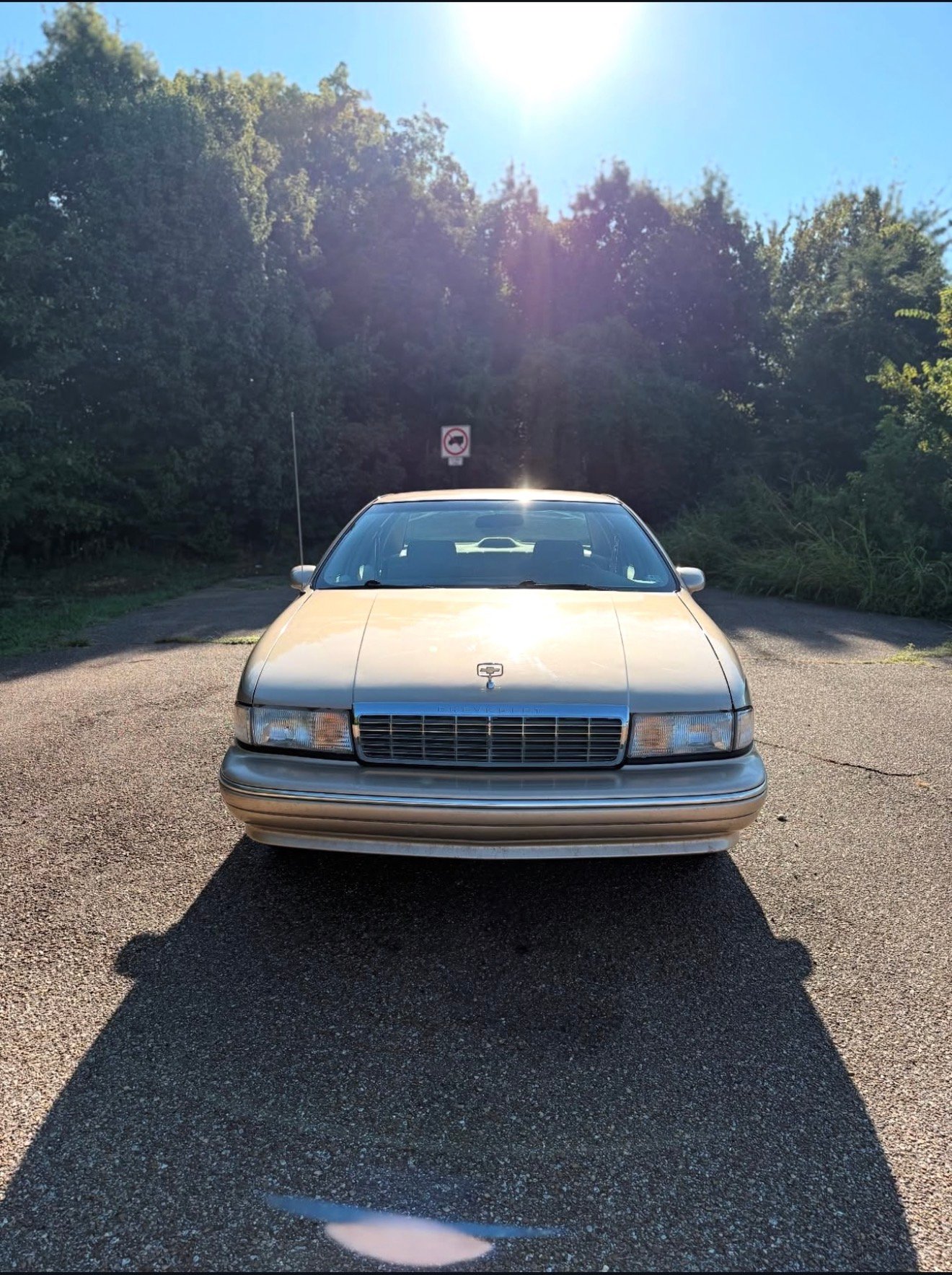 
								Chevrolet Caprice 1994 full									