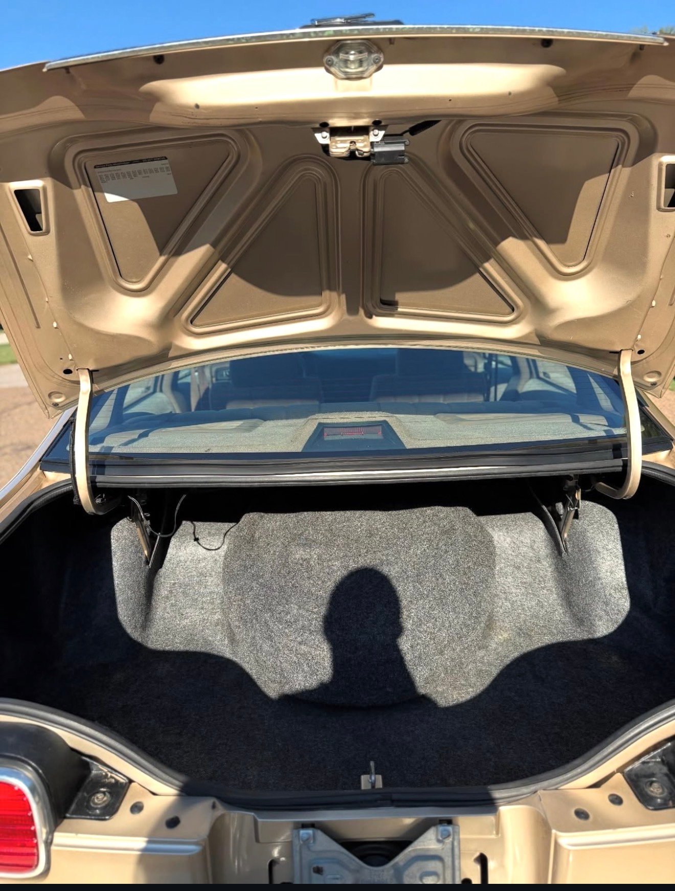 
								Chevrolet Caprice 1994 full									