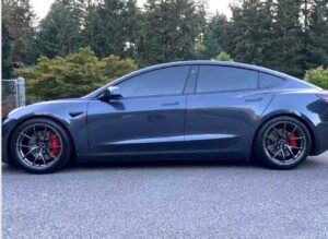 2021 Tesla Model 3 Performance