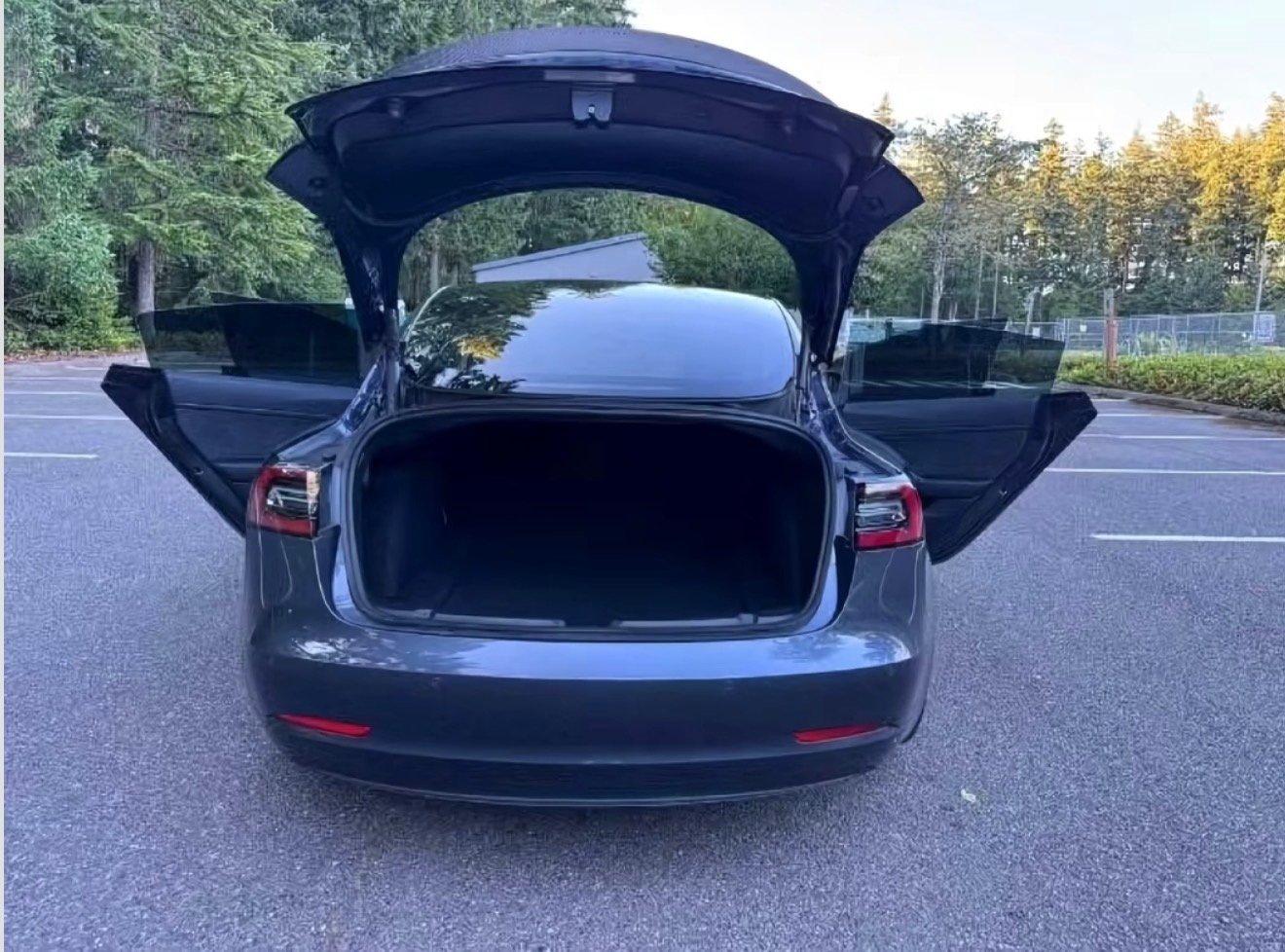 
								2021 Tesla Model 3 Performance full									