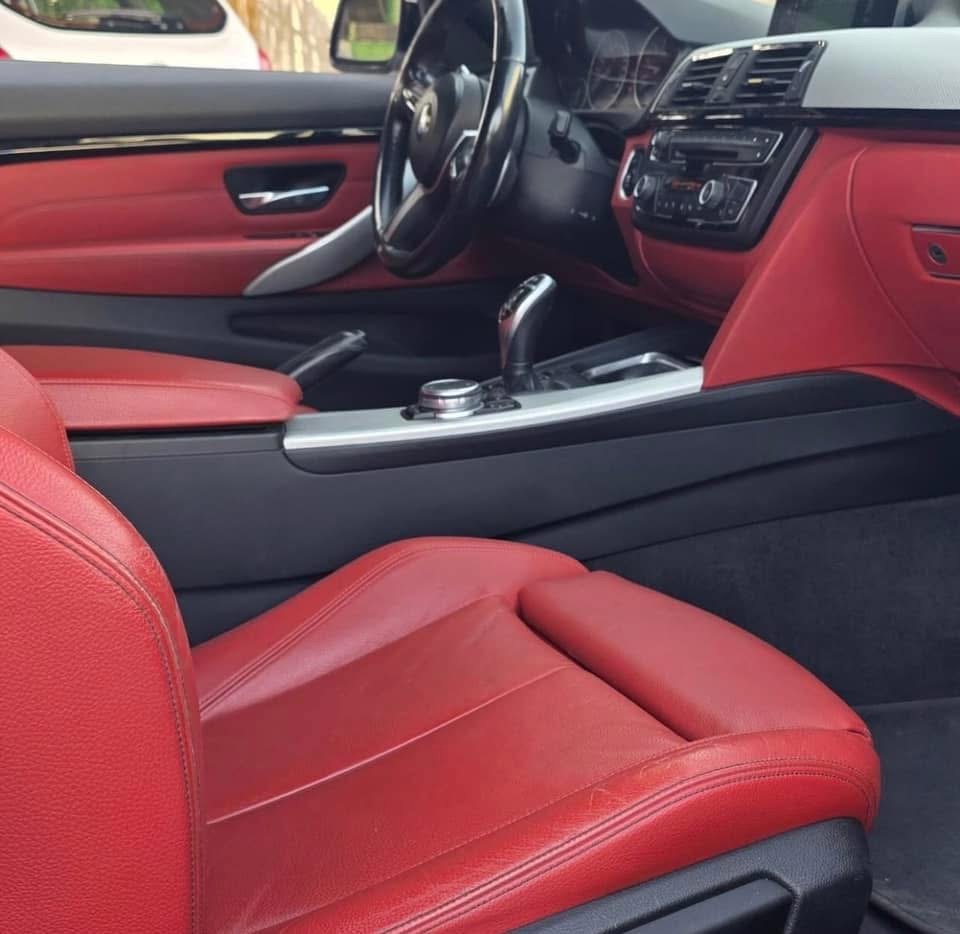
								• 2017 BMW 4 Series (F32 Model): full									